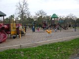 Nob Hill Park 10300 Timberoak Drive, Houston, TX 77065 (39).JPG